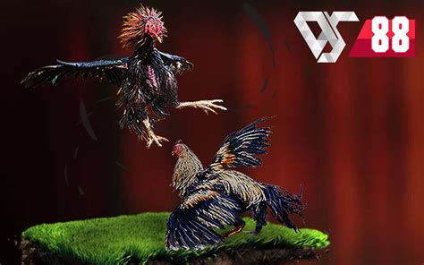 ds88 cockfight|DS88 Sabong: A Simple Guide to Excelling in Cockfighting.